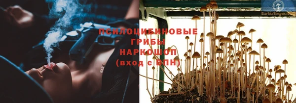 ГАЛЛЮЦИНОГЕННЫЕ ГРИБЫ Алзамай