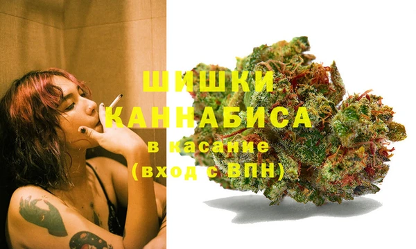 ГАЛЛЮЦИНОГЕННЫЕ ГРИБЫ Алзамай