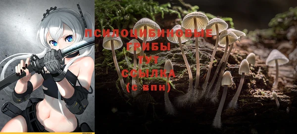 дурь Алексеевка