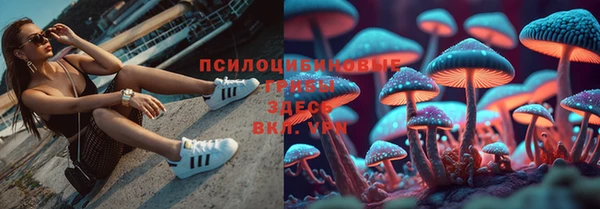 спиды Алексин