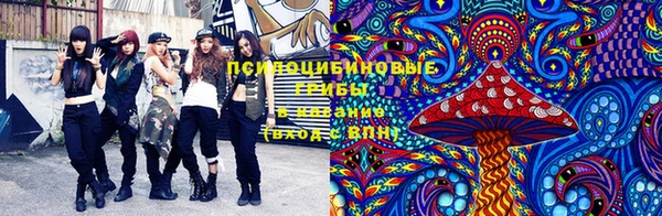 дурь Алексеевка