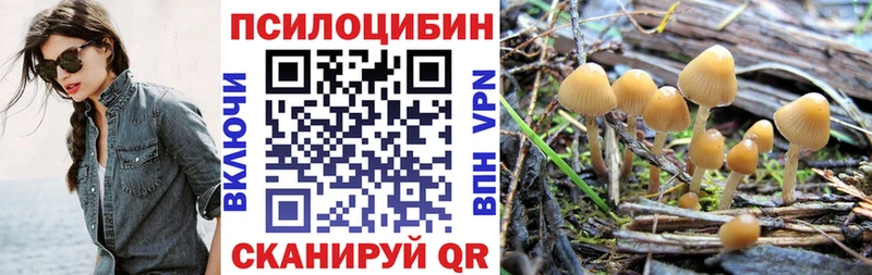 сколько стоит  Клинцы  Галлюциногенные грибы мицелий 