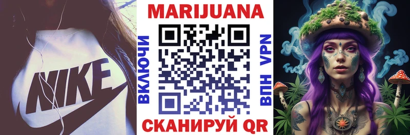 Шишки марихуана план  где найти   Клинцы 